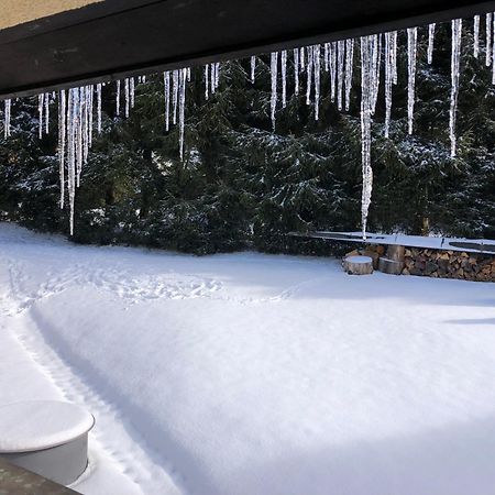 Apartmán s výhledem na Jezerní stěnu Železná Ruda Exteriér fotografie