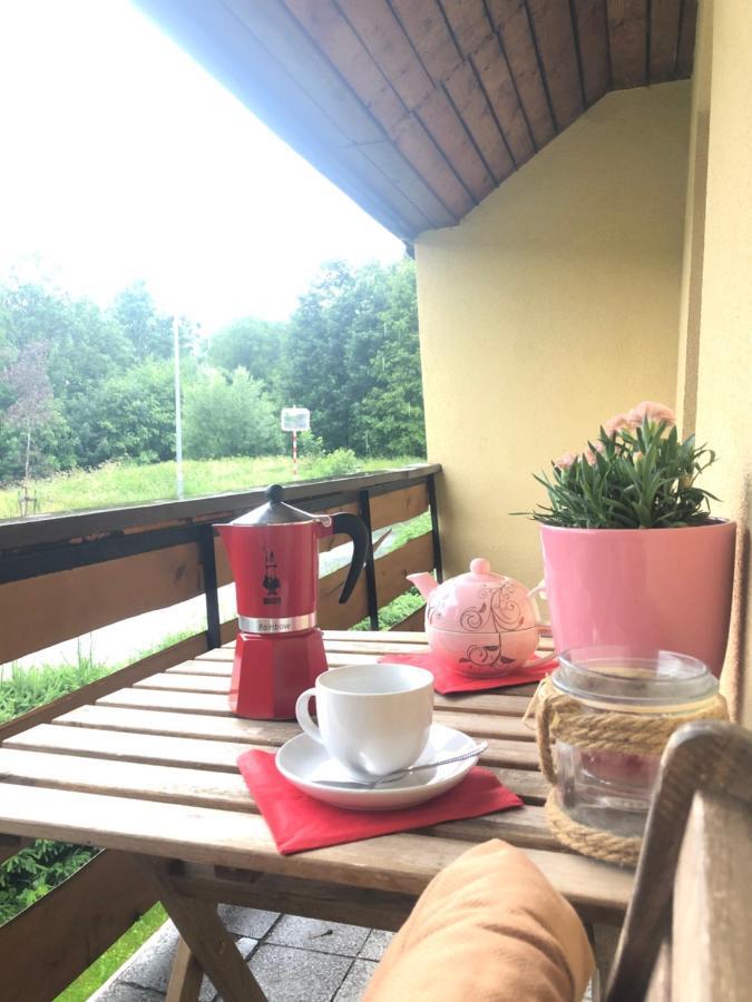 Apartmán s výhledem na Jezerní stěnu Železná Ruda Exteriér fotografie